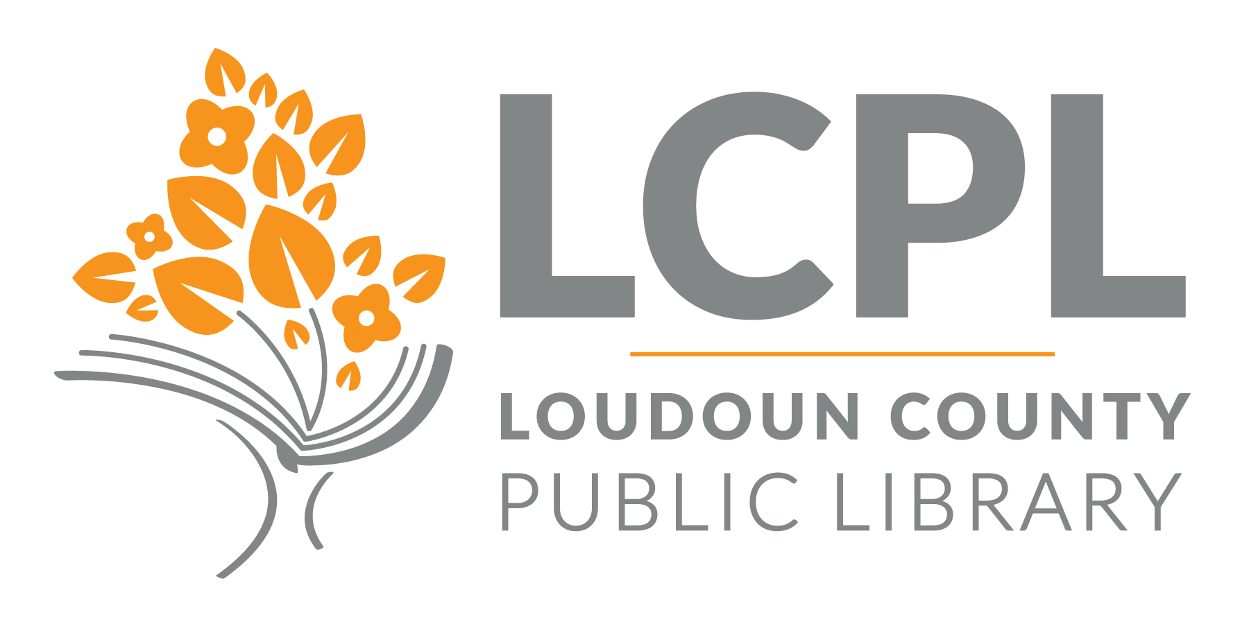 Loudoun County Public Library Makerspace  Maker Picture