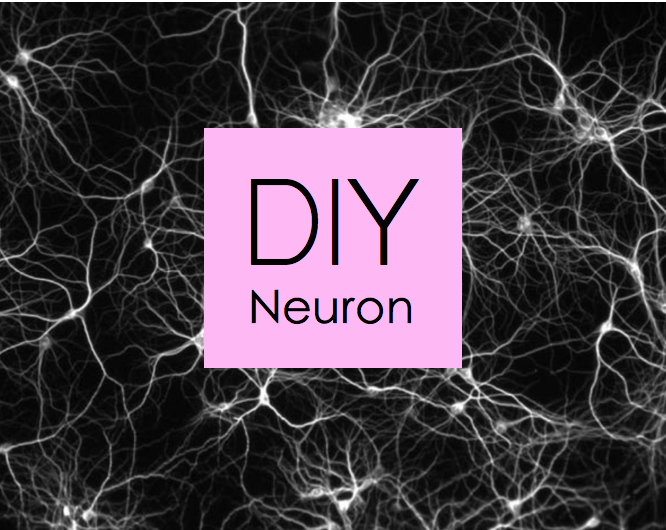 Make Your Own Pipe-Cleaner Neuron! project image